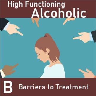High Functioning Alcoholic B: Barriers to Treatment
