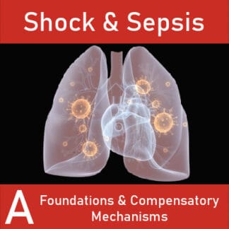 Shock & Sepsis A: Foundations & Compensatory Mechanisms