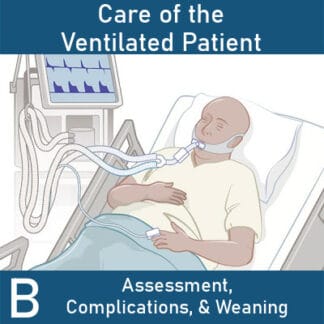 Caring for the Ventilated Patient B: Assessment, Complications, & Weaning